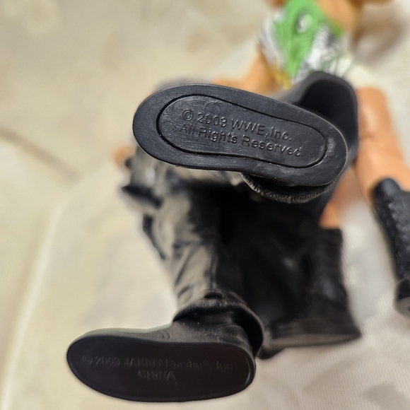 WWE The Undertaker & Rob Van Dam 2003 Jakks Pacific Action Figures - Picture 4 of 13